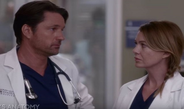 GreyS Anatomy Season 13 Watch Online GreyS Anatomy Season 13 Watch Online