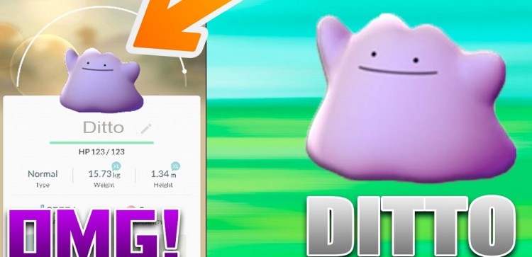 Pokemon Go Tips Ditto Details You Should Know To Increase Your Chances Of Catching One Tech Koreaportal