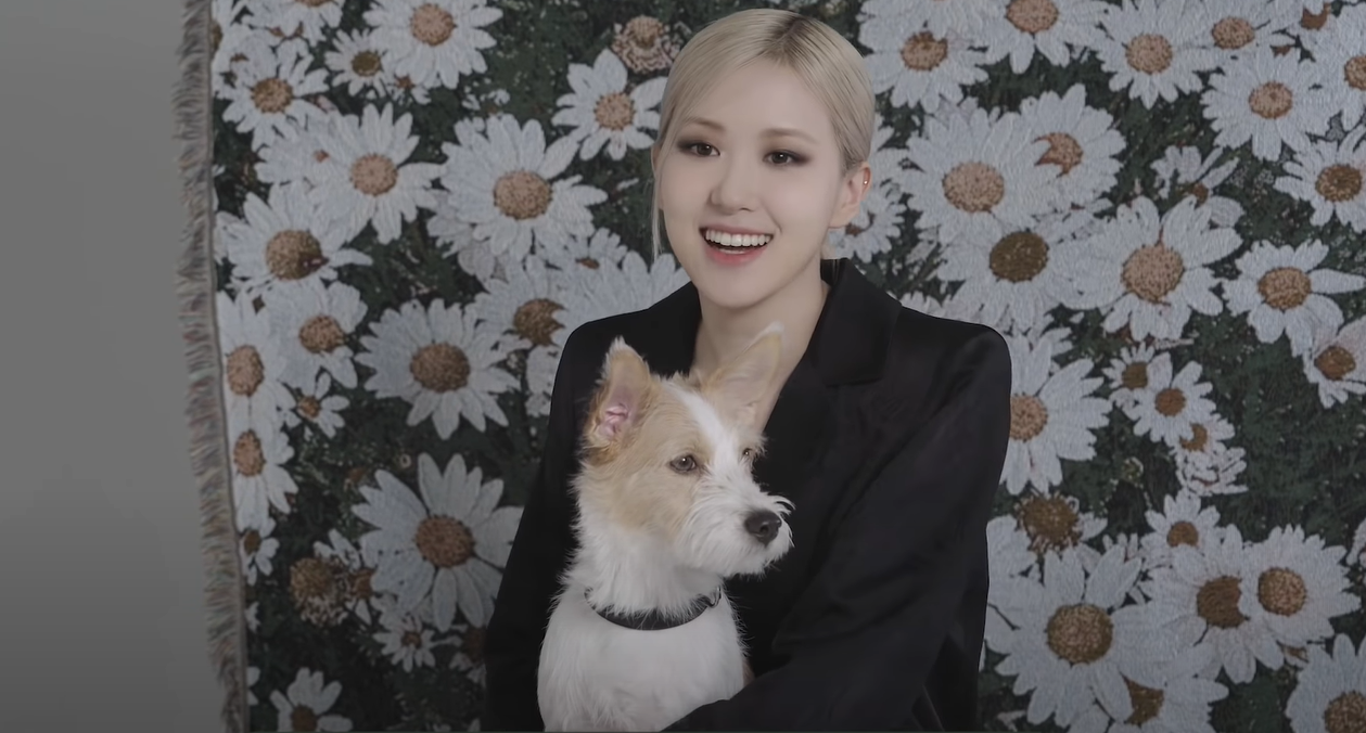 BLACKPINK Rosé's Dog, Hank, Is So Rich That You Probably Can't Afford His  Saint Laurent Accessories - Koreaboo