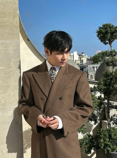 BTS V Becomes First International Artist Honored at Versailles